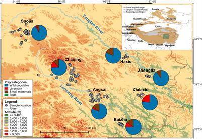 <mark class="highlighted">Snow Leopard</mark> Dietary Preferences and Livestock Predation Revealed by Fecal DNA Metabarcoding: No Evidence for Apparent Competition Between Wild and Domestic Prey